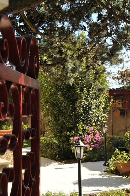 Chambre D'Hotes Le Cypres Bleu Roussillon  Екстер'єр фото